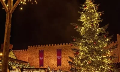 Castillo Puy Du Fou y árbol de Navidad